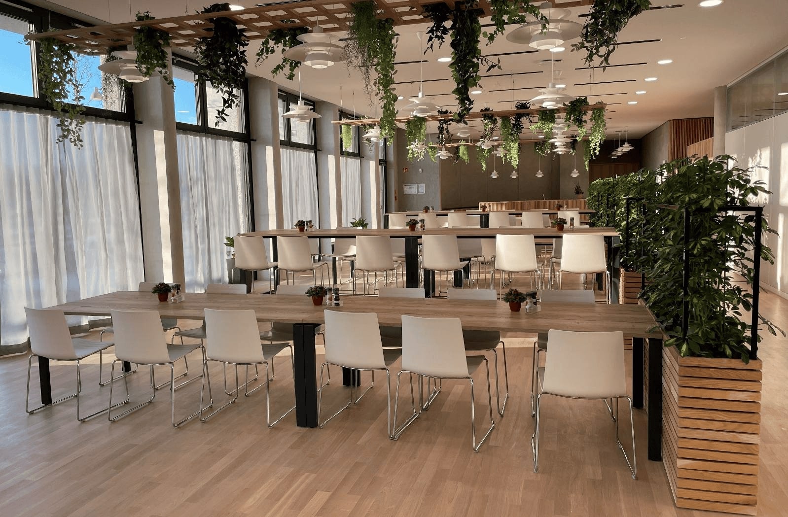 Moderne Cafeteria mit Holztischen, weißen Stühlen und hängenden Pflanzen in hellen, lichtdurchfluteten Räumen.